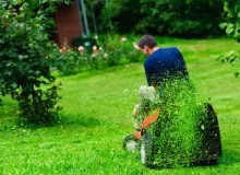 Kwikfynd Lawn Mowing
kerrscreek