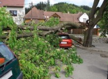 Kwikfynd Tree Cutting Services
kerrscreek